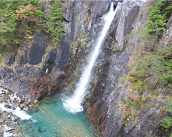 新着情報一覧 貸切バスのことならサカガワ観光へ 岐阜県中津川市 貸切バス タクシー 旅行手配 岐阜県中津川市 サカガワ観光